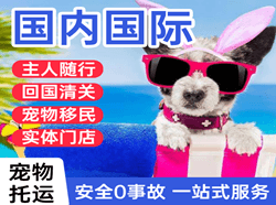南昌昌北机场货运国际宠物托运 【国